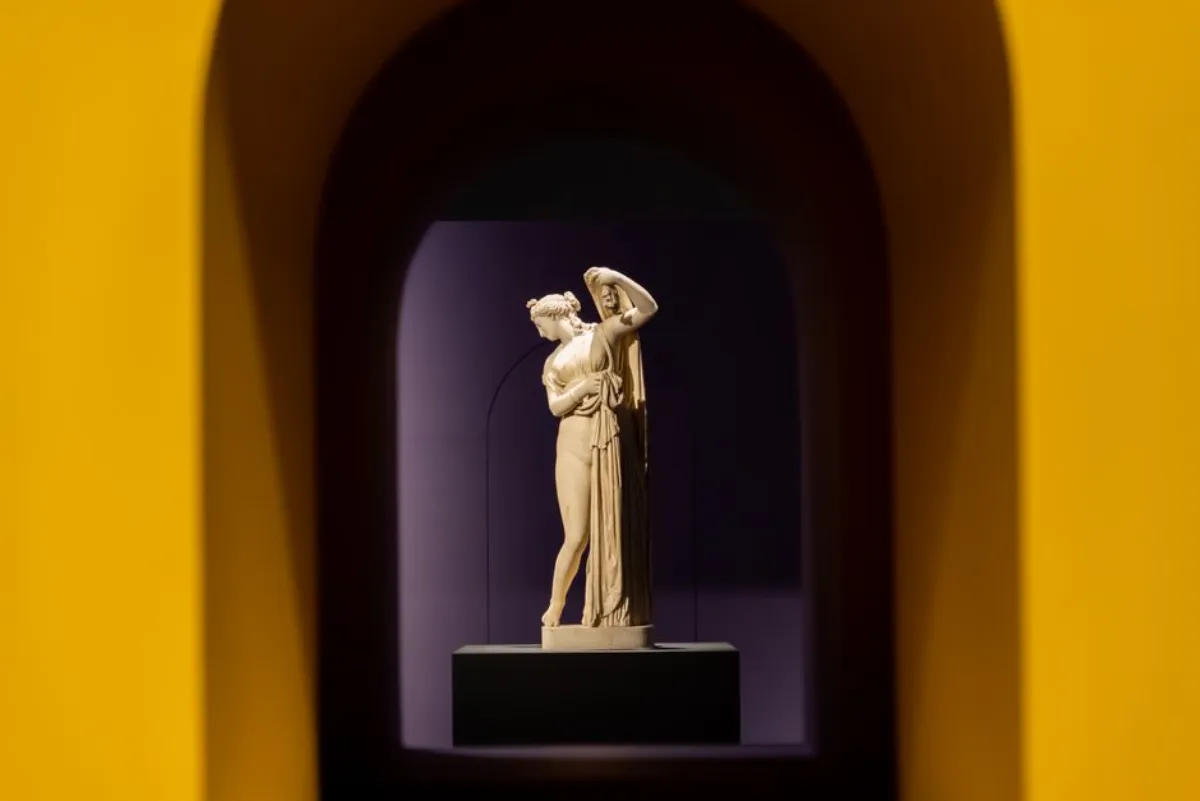 figure display